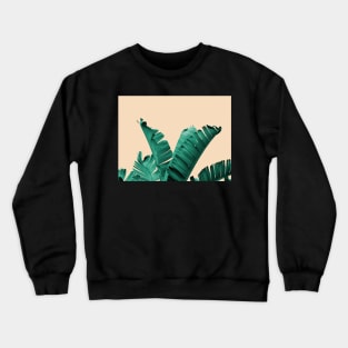 Palmtree Crewneck Sweatshirt